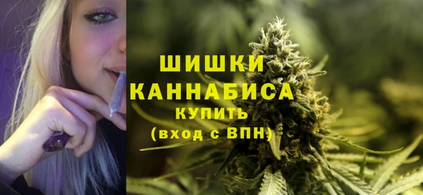 стаф Абаза